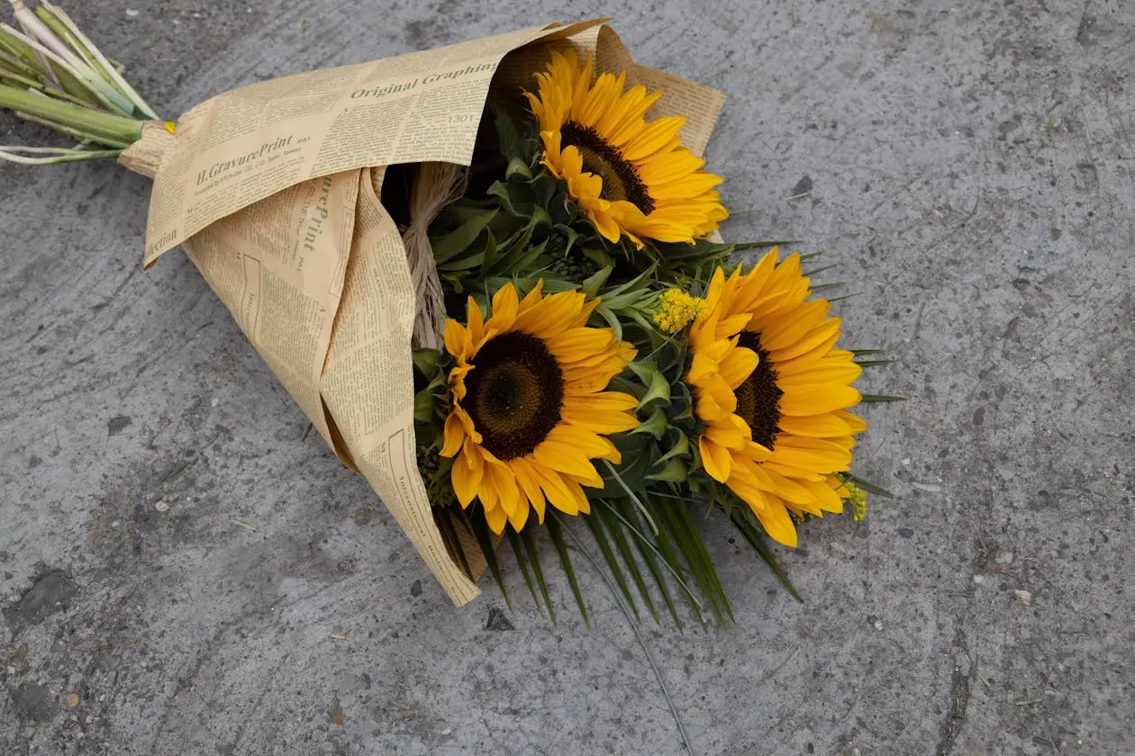 Sunflowers