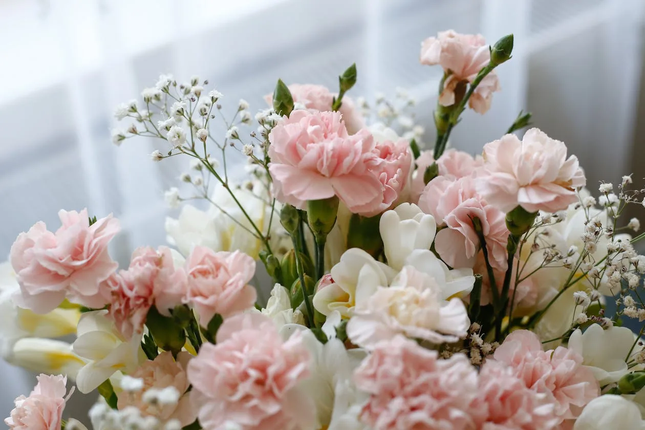 Carnations