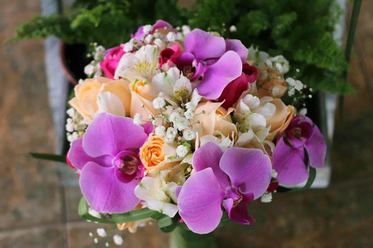 White orchids