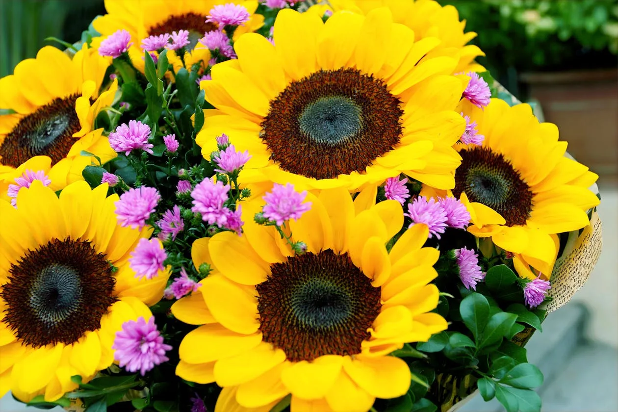 Bright sunflower bouquet for Father's Day